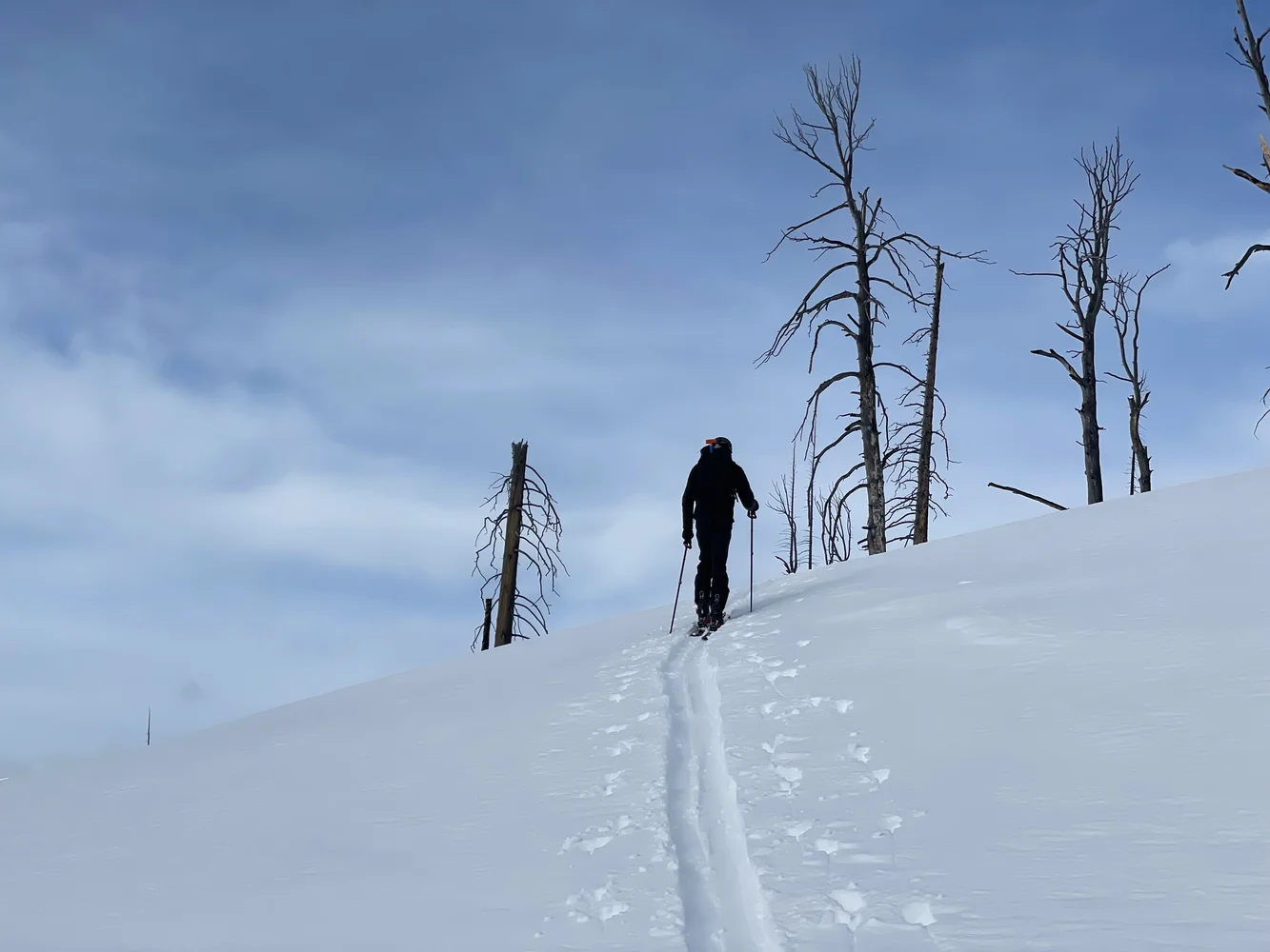 snowy path